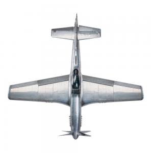AP459-Top